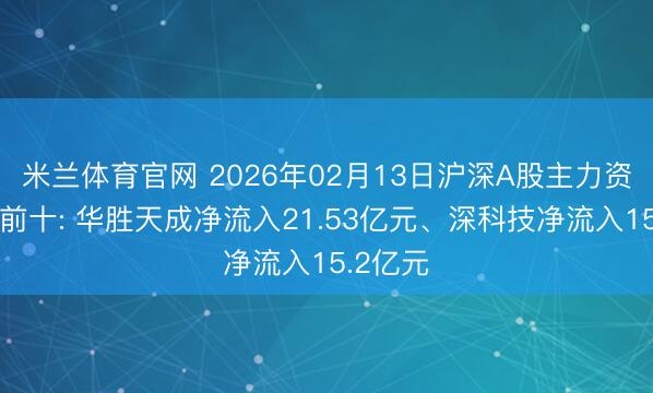 米兰体育官网 2026年02月13日沪深A股主力资金增仓前十: 华胜天成净流入21.53亿元、深科技净流入15.2亿元