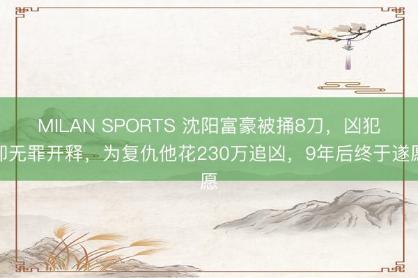 MILAN SPORTS 沈阳富豪被捅8刀，凶犯却无罪开释，为复仇他花230万追凶，9年后终于遂愿