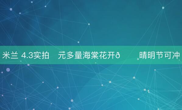 米兰 4.3实拍❗元多量海棠花开🌸晴明节可冲