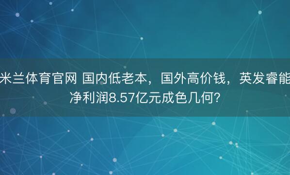 米兰体育官网 国内低老本，国外高价钱，英发睿能净利润8.57亿元成色几何？
