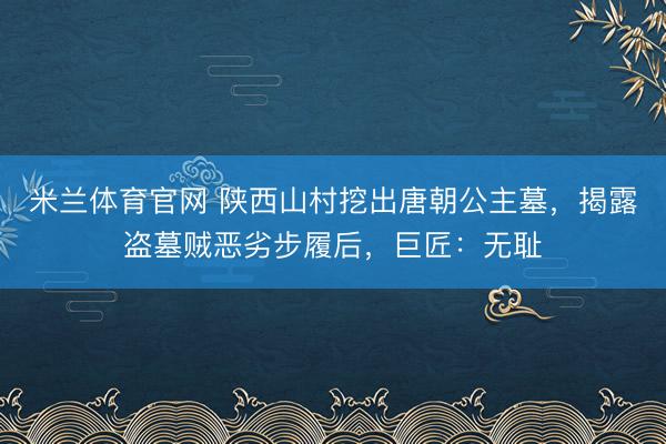 米兰体育官网 陕西山村挖出唐朝公主墓，揭露盗墓贼恶劣步履后，巨匠：无耻