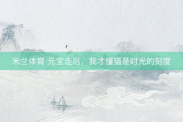 米兰体育 元宝走后，我才懂猫是时光的刻度