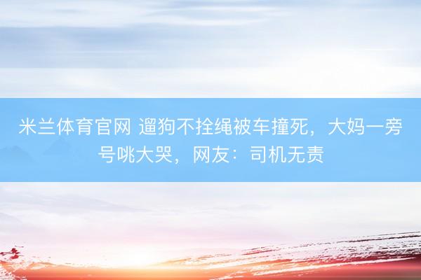 米兰体育官网 遛狗不拴绳被车撞死，大妈一旁号咷大哭，网友：司机无责
