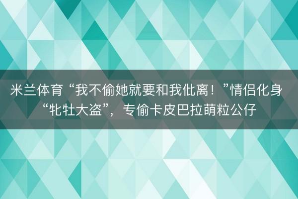 米兰体育 “我不偷她就要和我仳离！”情侣化身 “牝牡大盗”，专偷卡皮巴拉萌粒公仔